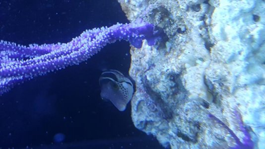 20171217_225812.jpg