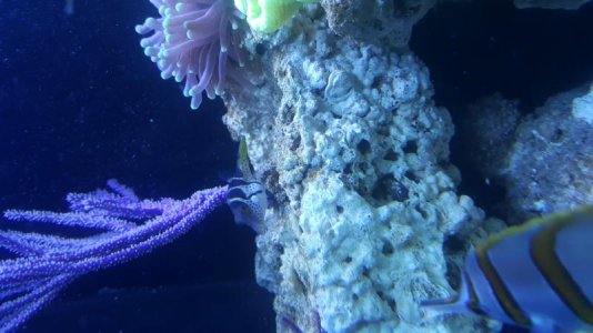 20171217_225953.jpg