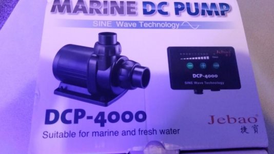 IMG_20171102_163731.jpg IMG_20171102_163731.jpg