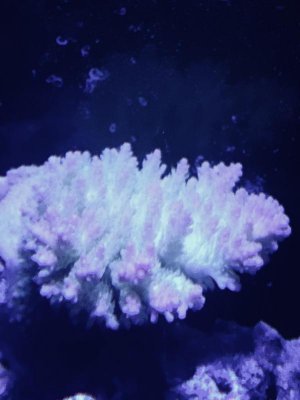02473F5C-3F3F-432F-AE97-F04E8754C2E0.jpg