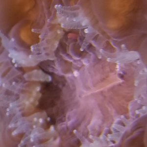 20171219_165506.jpg
