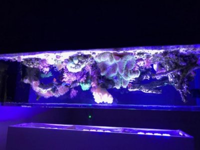 IMG_0848.jpg