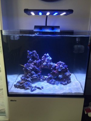 RS170A.jpg