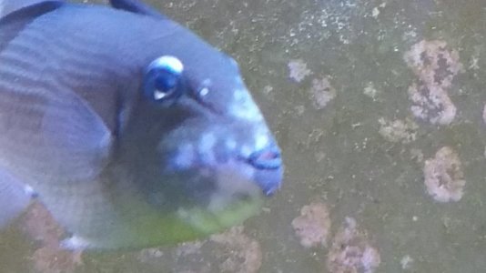 20171220_131550.jpg