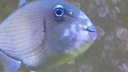 20171220_131524.jpg