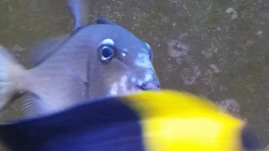 20171220_131540.jpg