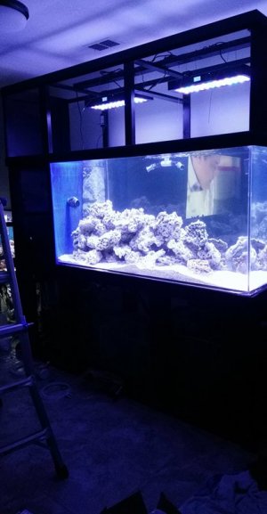 Tank 1.jpg