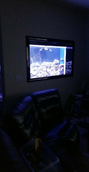 Tank 2.jpg