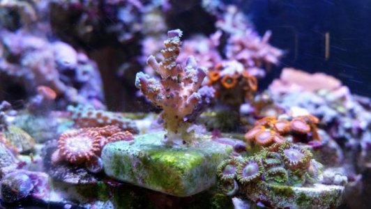 20170511_125459.jpg