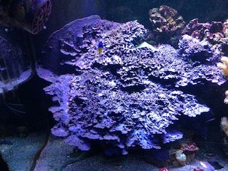 IMG_1902.jpg IMG_1902.jpg