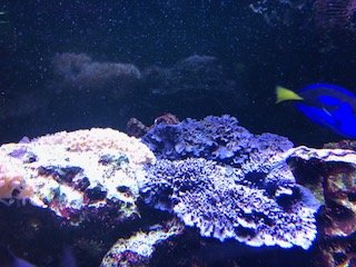 IMG_1903.jpg