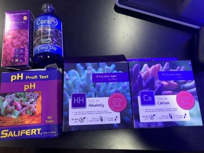 test kits.jpg