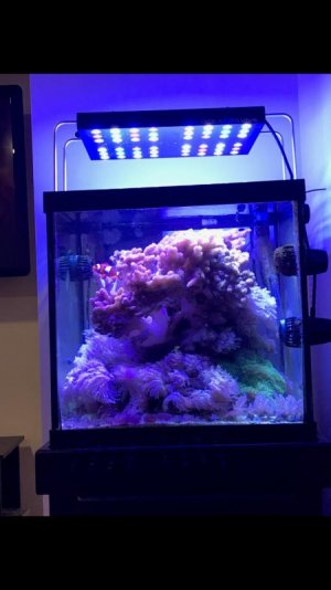tank now.jpg