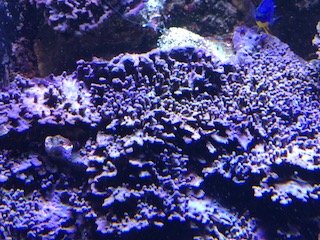 IMG_19041.jpg