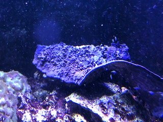 IMG_19051.jpg