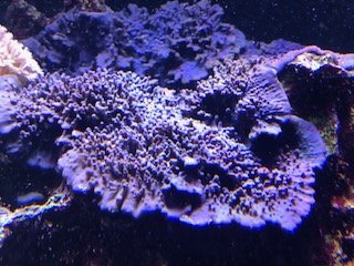 IMG_19061.jpg