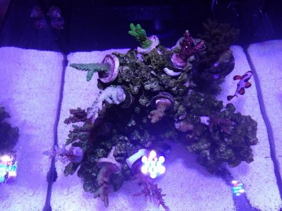 IMG_20171223_120103.jpg