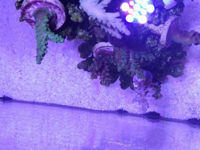 IMG_20171223_120131.jpg