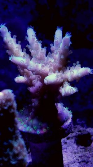 20171229_185657-1995x3548.jpg