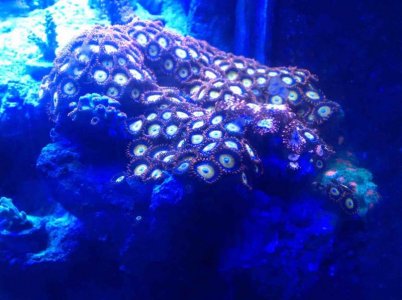 IMG_3295.jpg IMG_3295.jpg