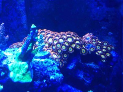 IMG_3296.jpg IMG_3296.jpg