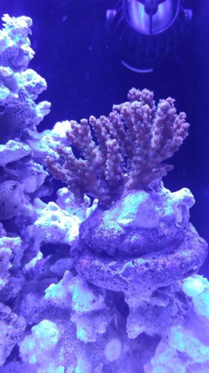 1510589757092-1293055802.jpg