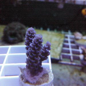 IMG_20171229_140141_253.jpg
