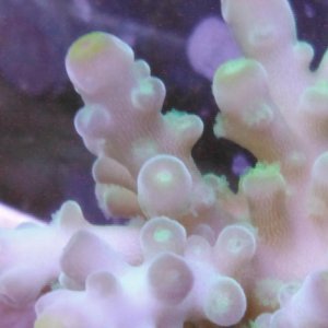 IMG_20171229_140013_673.jpg