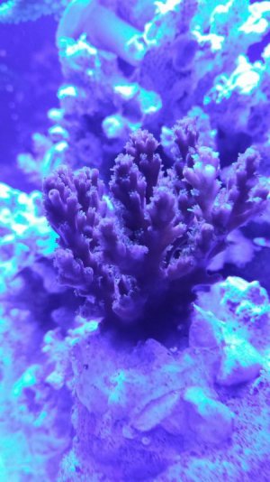 1510590373596-836171872.jpg