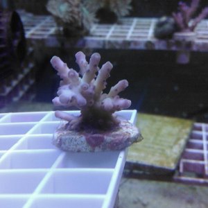 IMG_20171231_150823_080.jpg