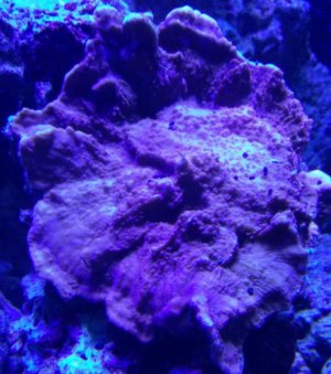 IMG_20171114_001326.jpg