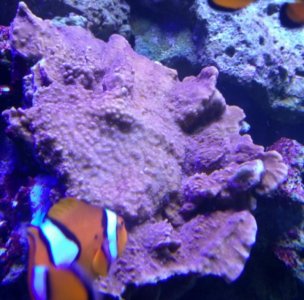 IMG_20171114_191821.jpg