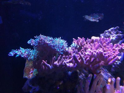 IMG_20180103_183035.jpg