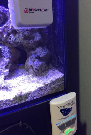 fish2.jpg