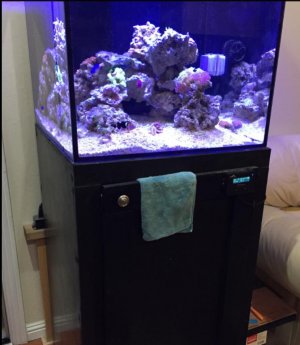 fish4.jpg
