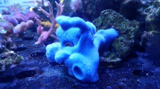 20180106_155022.jpg