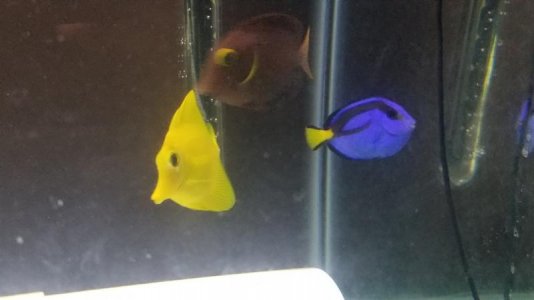 20180106_200154.jpg