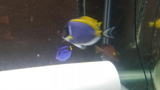 20180106_200123.jpg