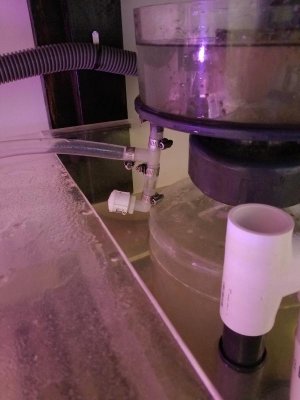 proteinskimmer1.jpg