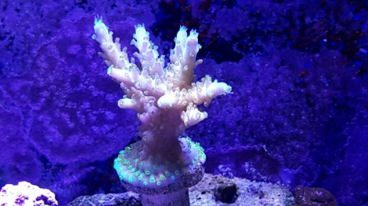 20180105_165755-3547x1995.jpg
