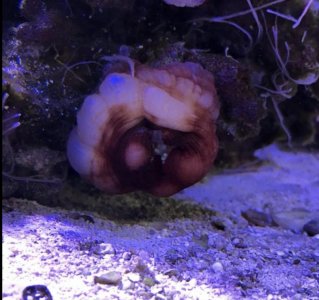 Screen Shot 2018-01-07 at 11.18.02 AM.jpg