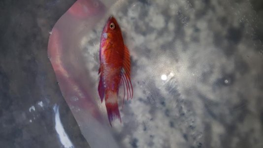 20180107_214945.jpg