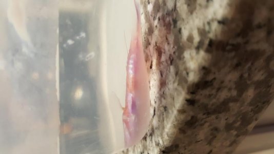 20180107_215025.jpg