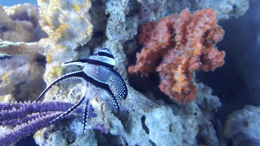 20171210_215348.jpg