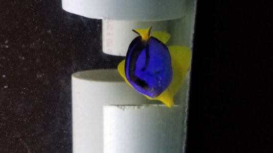 20180108_103553.jpg
