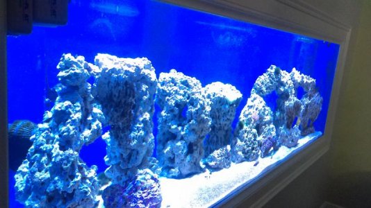 IMAG0874.jpg