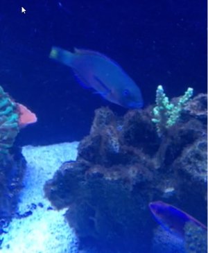 2017-11-22_12-43-40.jpg