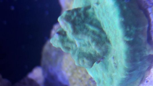 20171122_194307.jpg
