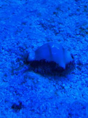 IMG_7424.jpg