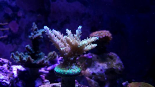 20180111_170719-3984x2241.jpg